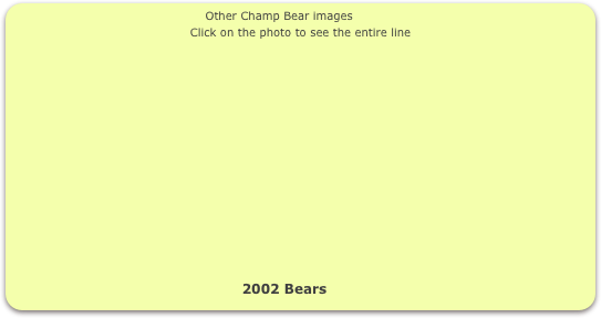                                                Other Champ Bear images
Click on the photo to see the entire line















                                                   2002 Bears                     