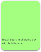 









Brazil Bears in shipping box with bubble wrap