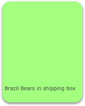 










Brazil Bears in shipping box