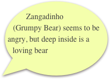        Zangadinho (Grumpy Bear) seems to be angry, but deep inside is a loving bear