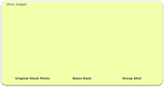 Other images
















            Original Stock Photo                      Bears Back                              Group Shot