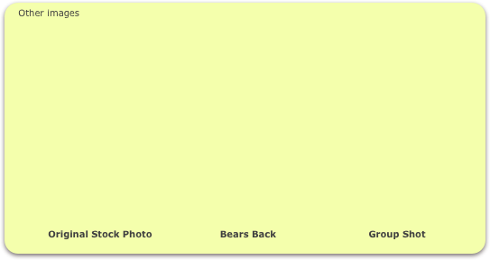 Other images
















             Original Stock Photo                      Bears Back                              Group Shot