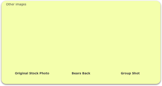 Other images















            Original Stock Photo                      Bears Back                              Group Shot